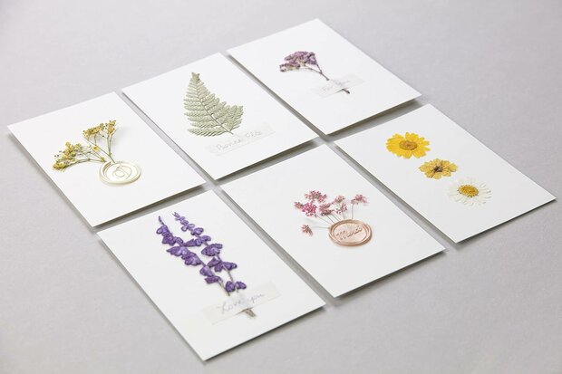 Geperste droogbloemen - Set diverse bloemen 12 stuks Prairie