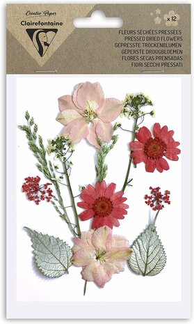 Geperste droogbloemen - Set diverse bloemen 12 stuks Rouge