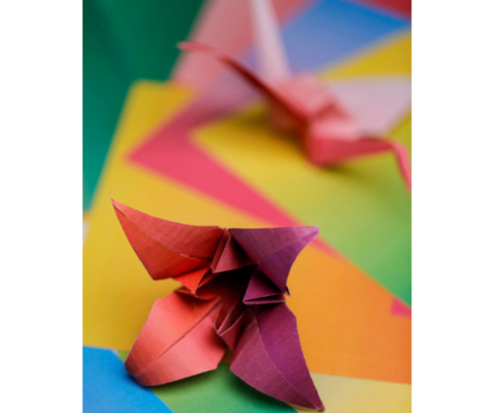 Origami papier pak 100 blad 20x20cm Kleurgradatie