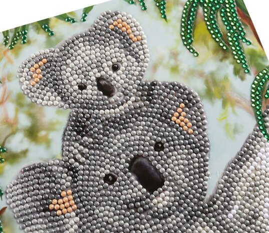 Crystal Card kit diamond painting Baby Koala - Martha Bowyer 18 x 18 cm