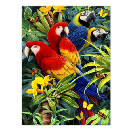 Painting by Numbers Jungle – 4 Project Box Set  Royal & Langnickel 
