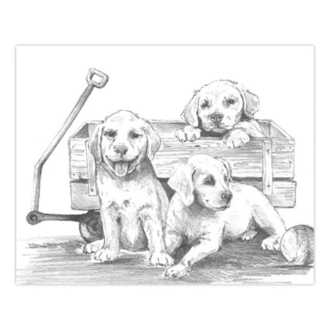  Sketching Made Easy™ – 33-delige set inheemse dieren 9 tekenprojecten Royal & Langnickel 
