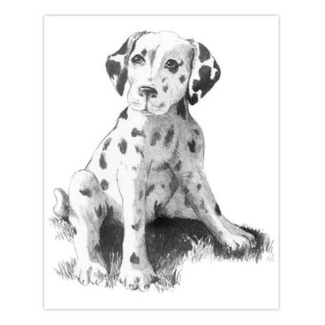  Sketching Made Easy™ – 33-delige set inheemse dieren 9 tekenprojecten Royal & Langnickel 