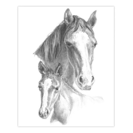  Sketching Made Easy™ – 33-delige set inheemse dieren 9 tekenprojecten Royal & Langnickel 