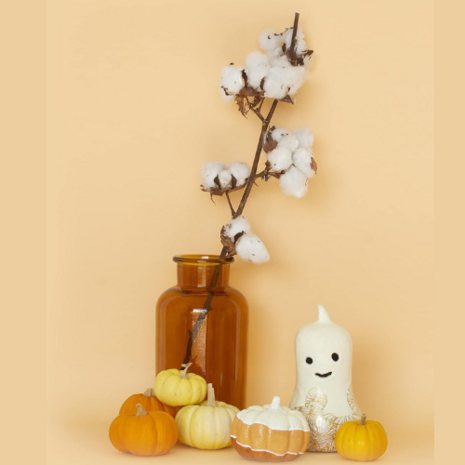 Decopatch Fles Pompoen