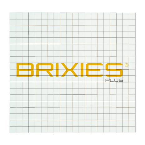 Brixies wenskaart tijger 16 x16 cm