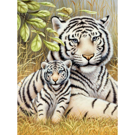 Schilderen op nummer white tiger pair (Junior Small/33x24cm) Royal & Langnickel.