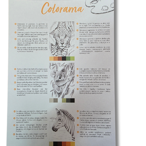 Odelia kleurboek volwassenen - thema animals