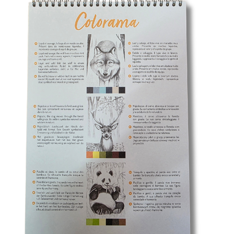 Odelia kleurboek volwassenen - thema animals