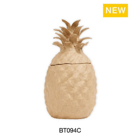Opberger doos Ananas