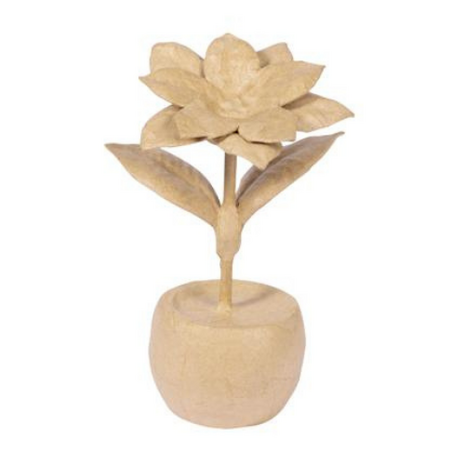 Poinsettia - kerstster in pot