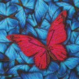 Crystal Card kit diamond painting Butterfly 18 x 18 cm