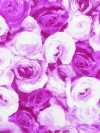 Decopatch papier roze rozen OP=OP