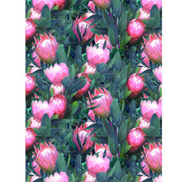 Decoptach papier grote roze Protea bloemen OP=OP