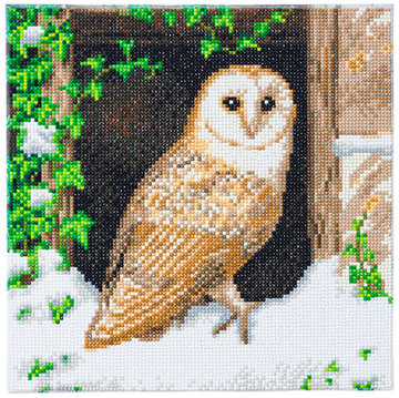 Crystal Art kit Snowy Owl (full) 30 x 30 cm
