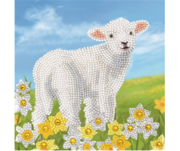 Crystal Card kit diamond painting Little Lamb 18 x 18 cm